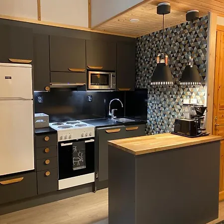 Apartment Levihuvila 16 With 1 Pass *