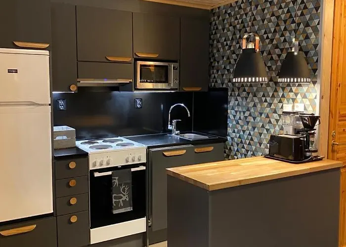 아파트 Levihuvila 16 With 1 Pass *